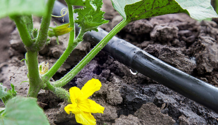 山東綠園節水灌溉設備有限公司